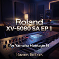 Individual tone Roland XV-5080 SA EP 1 for Yamaha Montage M